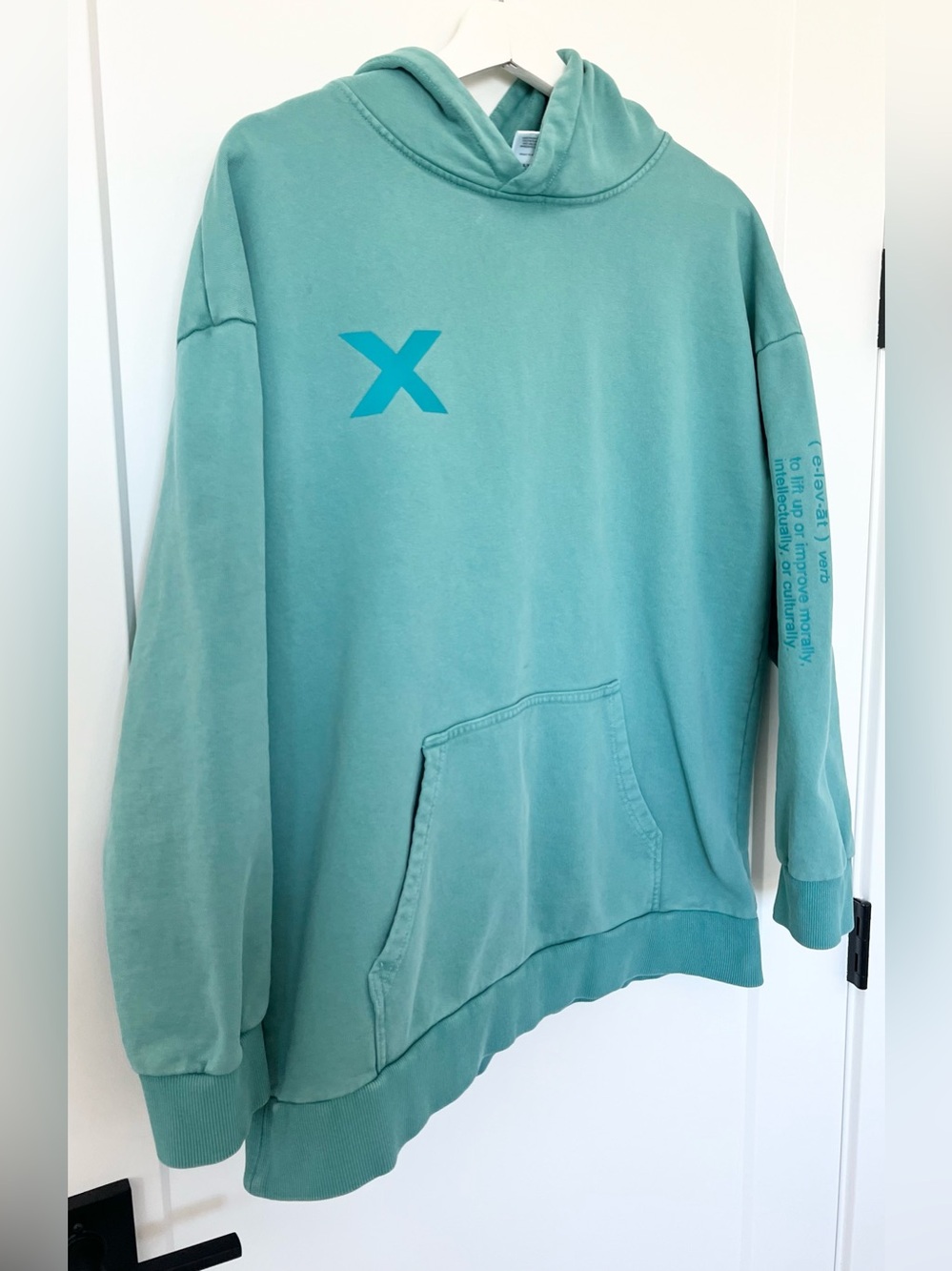 Tiger Friday Elevate Hoodie Sweatshirt Pullover Aloe Men’s Size Medium - Picture 3 of 11